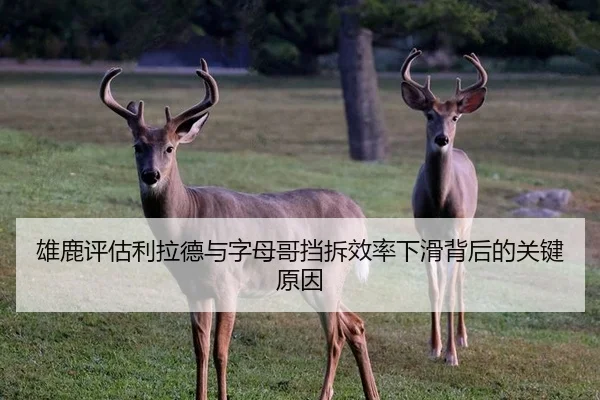 雄鹿评估利拉德与字母哥挡拆效率下滑背后的关键原因
